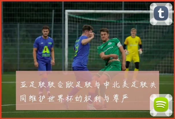 亚足联联合欧足联与中北美足联共同维护世界杯的权利与尊严